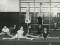 Akrobatyka - grupa ćwicząca przy drabinkach